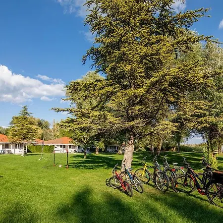 Szep Balaton Daire *